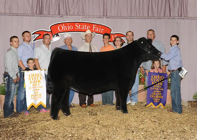 SM Show Steers winner, 2013