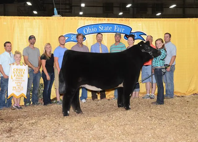 3rd Overall steer, Ohio State Fair — SM Show Steers winner, 2015
