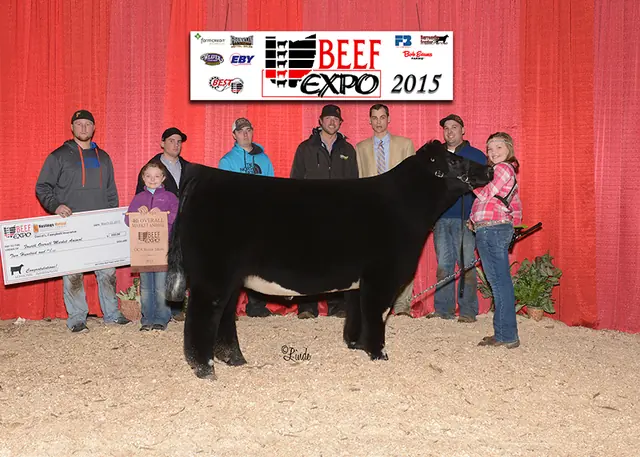 4th Overall steer, Ohio Beef Expo — SM Show Steers winner, 2015