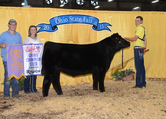 16 time Champion or Reserve Simmental Steer, 9th overall Steer Ohio Beef Expo — SM Show Steers winner, 2015