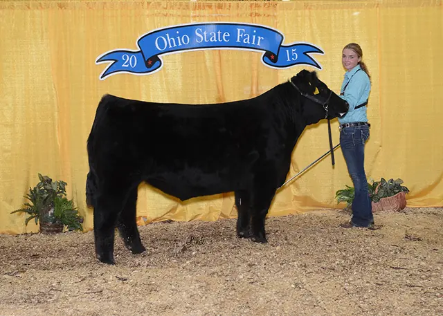 Reserve Division 5, Ohio State Fair — SM Show Steers winner, 2015