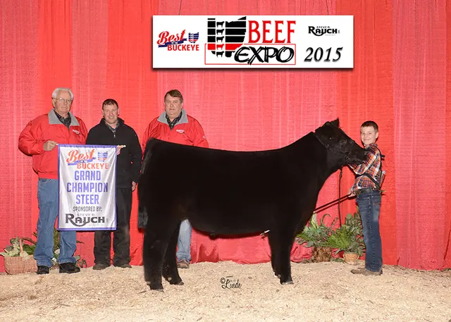 Reserve Champion Chi Steer, Ohio Beef Expo — SM Show Steers winner, 2015