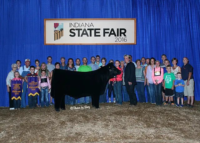 Reserve Grand Champion Market Steer, Grand Champion Chianina — SM Show Steers winner, 2016