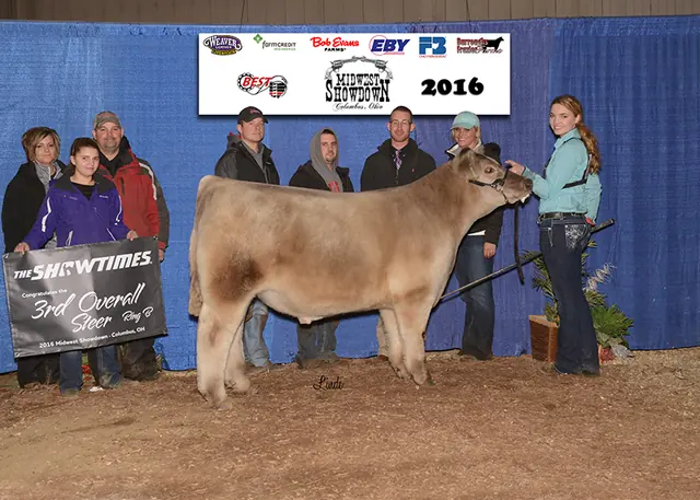 Third Overall Steer, Scarlet and Gray Midwest Showdown — SM Show Steers winner, 2016