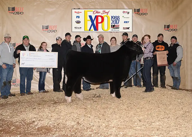 Fourth Overall, 2017 Ohio Beef Expo — SM Show Steers winner, 2017