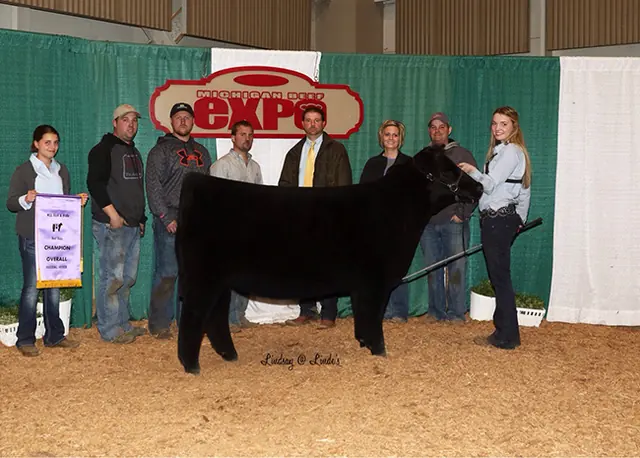 Champion Overall, 2017 Michigan Beef Expo — SM Show Steers winner, 2017