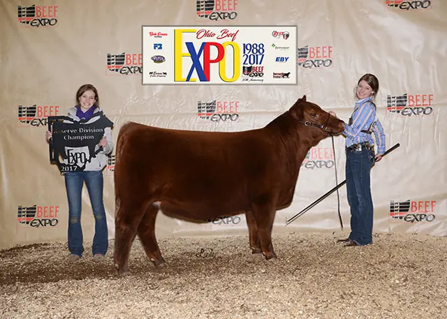3rd Overall Heifer 2017, 2017 Cattle Battle — SM Show Steers winner, 2017