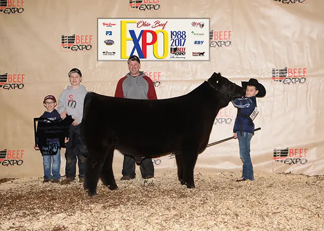 Multiple Champion and Reserve Champion Chi, 2017 Ohio BEST Series — SM Show Steers winner, 2017