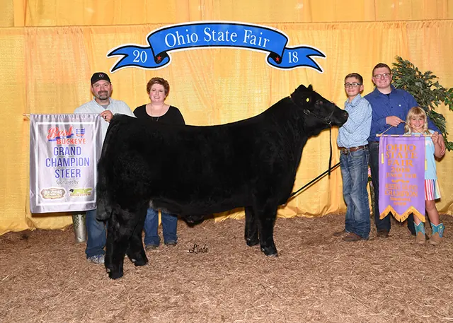 Res. Simmental Steer/ Champion Best of the Buckeye, Ohio State Fair — SM Show Steers winner, 2018