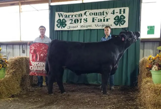 Reserve Grand Steer, Warren Co. VA — SM Show Steers winner, 2018