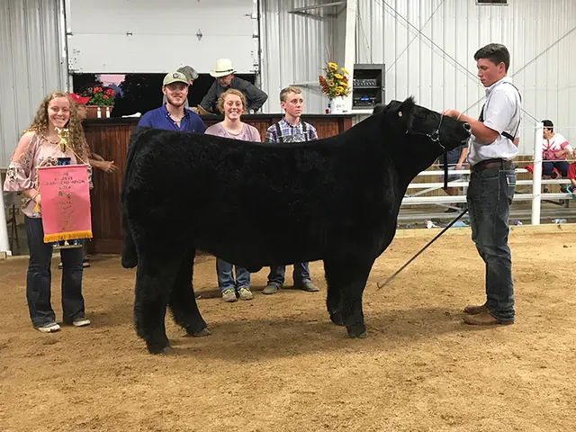 Reserve Champion Market Steer, Champaign Co. Fair — SM Show Steers winner, 2018