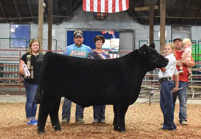 Reserve Champion Steer, Miami Co. Fair — SM Show Steers winner, 2018