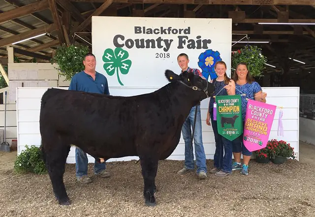Reserve Champion Steer, Blackford Co. Fair — SM Show Steers winner, 2018