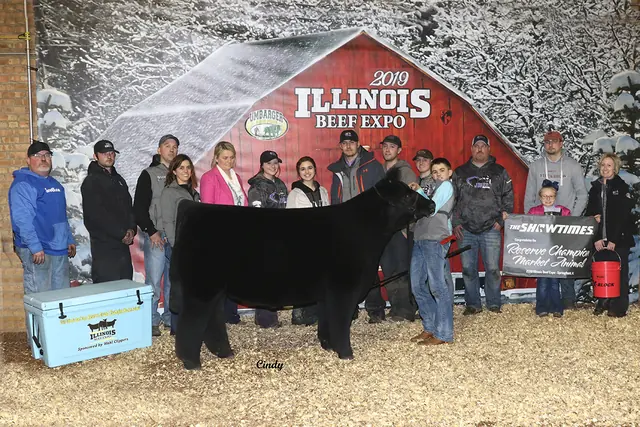 Res. Champion Steer, Illinois Beef Expo — SM Show Steers winner, 2019