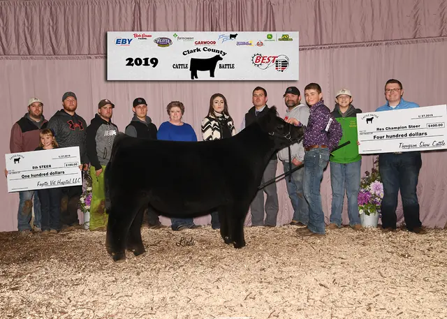 Res. Champion Steer, Clark Co. Cattle Battle — SM Show Steers winner, 2019