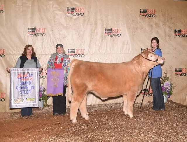 Multiple Time Champ & Reserve AOB Steer, Res AOB, Ohio BEST Series — SM Show Steers winner, 2019