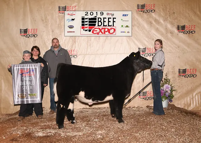 Res. ShorthornPlus Steer, OCA BEST Series — SM Show Steers winner, 2019