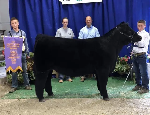 Reserve Champion Steer, Noble Co. — SM Show Steers winner, 2019