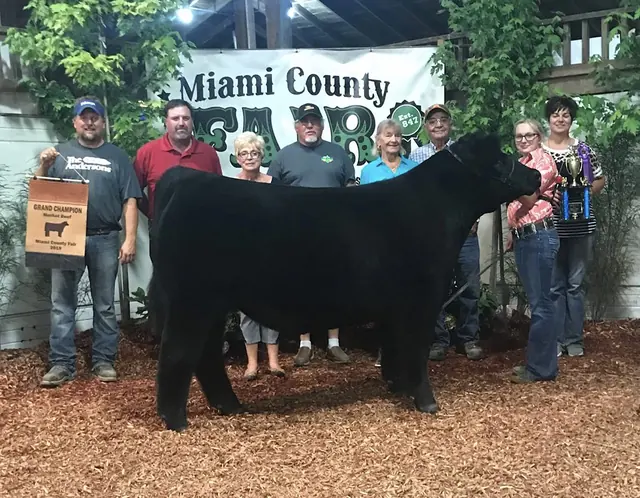 Champion Steer, Maimi Co. — SM Show Steers winner, 2019