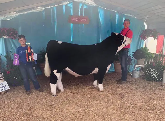 Champion Steer Defiance Co. Open Show, Res. Chi Steer OCA Best Series — SM Show Steers winner, 2019