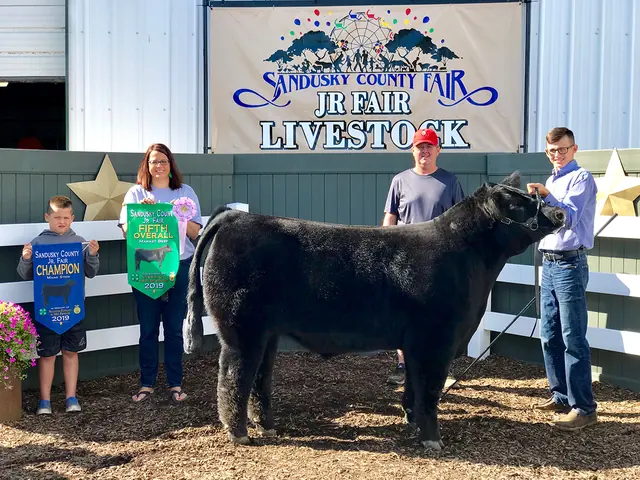 Champ Maine & 5th Overall Steer, Sandusky Co. — SM Show Steers winner, 2019