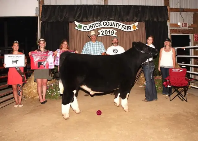 Reserve Champion Steer, Clinton Co. — SM Show Steers winner, 2019
