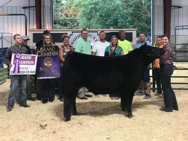 Champion Steer, Wood Co. — SM Show Steers winner, 2019
