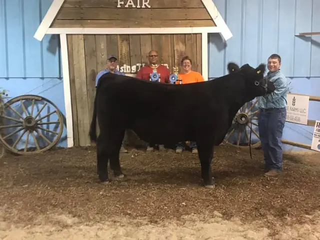 Champion Steer, Williams Co. Fair — SM Show Steers winner, 2019