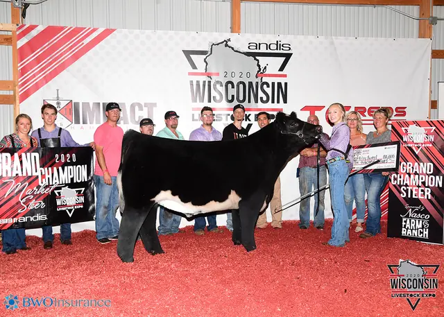 Champion Steer, Wisconsin Livestock Expo — SM Show Steers winner, 2020