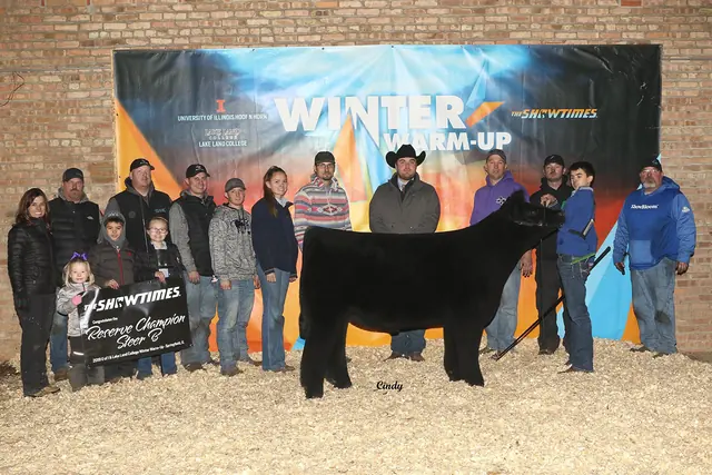 Reserve Champion Steer, Winter Warm-Up — SM Show Steers winner, 2020