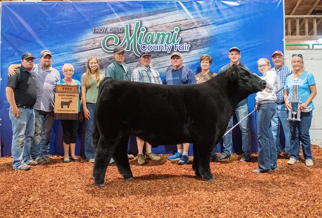 Champion Steer, Miami Co. Fair — SM Show Steers winner, 2020