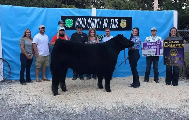 Champion Steer, Wood Co. Fair — SM Show Steers winner, 2020