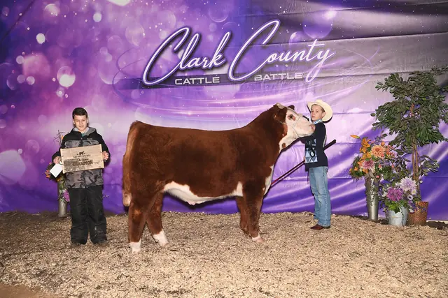 Multiple Time Champ & Reserve Hereford — SM Show Steers winner, 2020