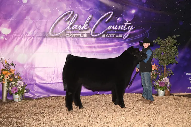 Many Time Class Champion Chi, Ohio BEST Series — SM Show Steers winner, 2020