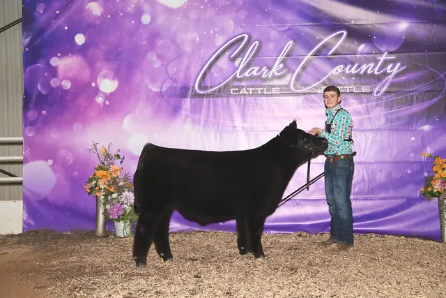Reserve Div 1, Clark County Cattle Battle — SM Show Steers winner, 2020