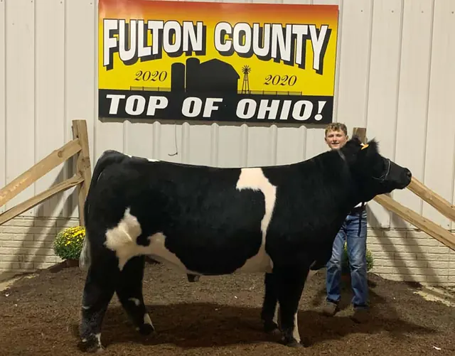 Fulton County — SM Show Steers winner, 2020