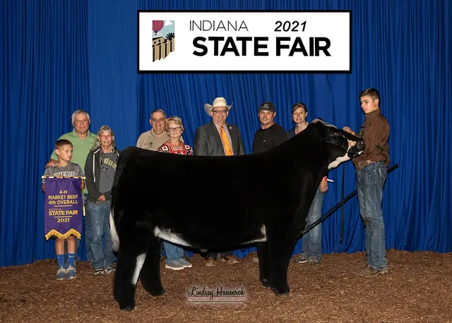 SM Show Steers winner, 2021