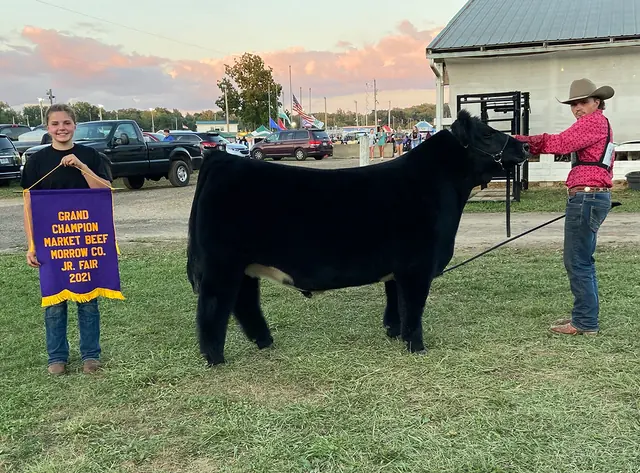 SM Show Steers winner, 2021