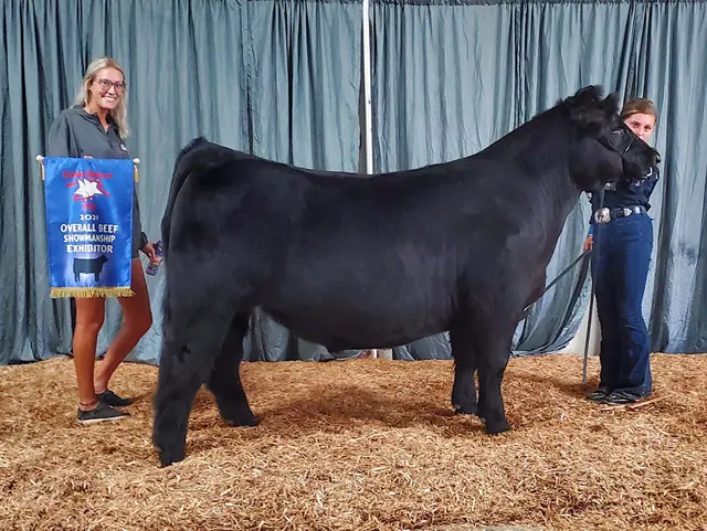 SM Show Steers winner, 2021