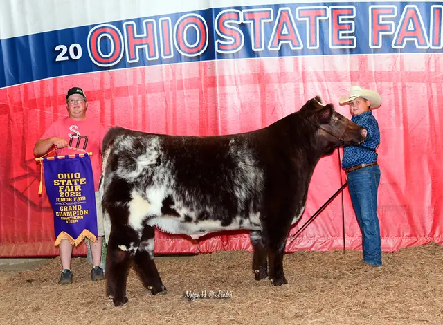 SM Show Steers winner, 2022
