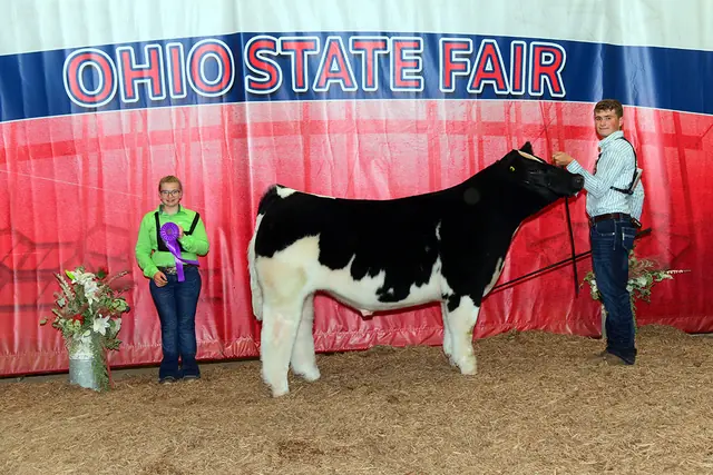 SM Show Steers winner, 2022