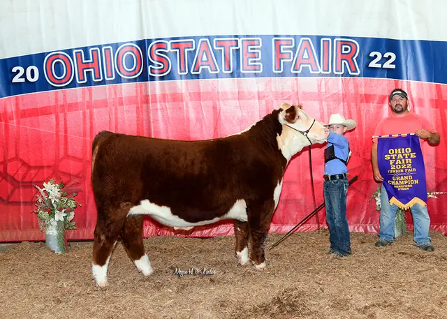 SM Show Steers winner, 2022