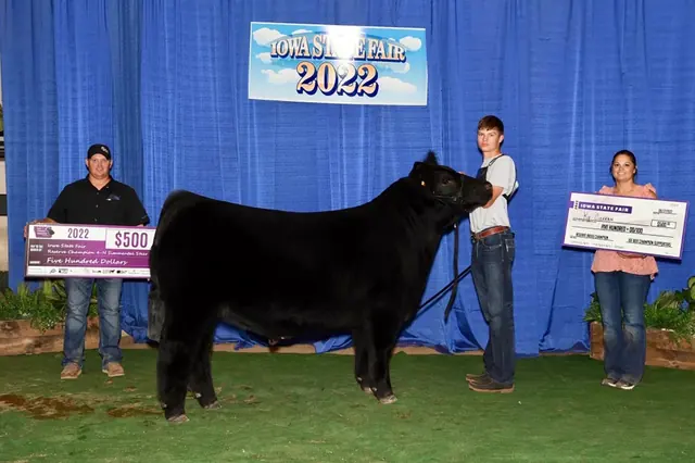 SM Show Steers winner, 2022