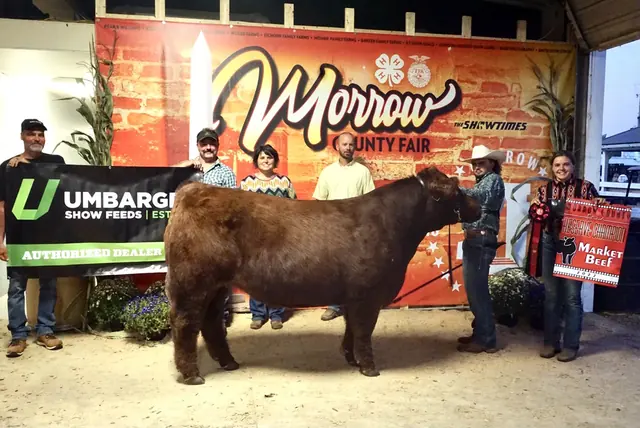 SM Show Steers winner, 2022