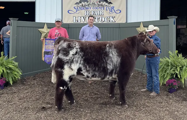 SM Show Steers winner, 2022