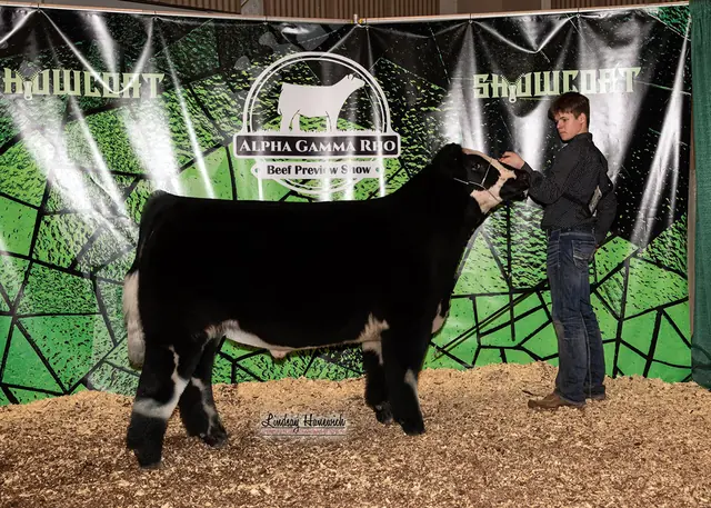 SM Show Steers winner, 2022