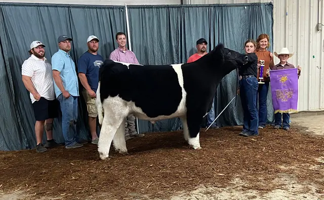 SM Show Steers winner, 2022