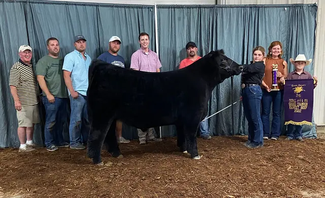 SM Show Steers winner, 2022