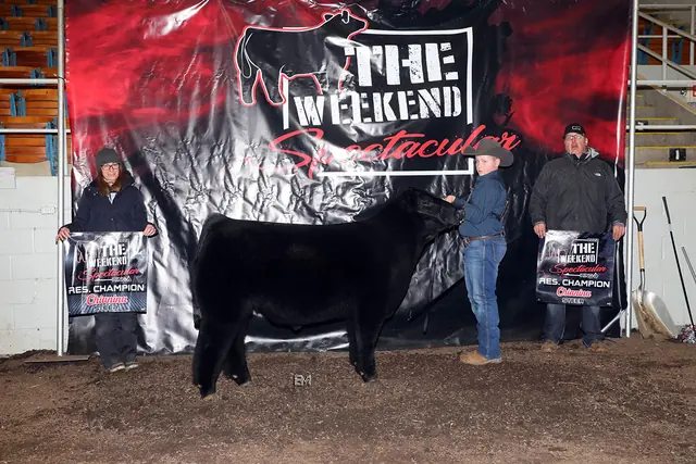 SM Show Steers winner, 2022