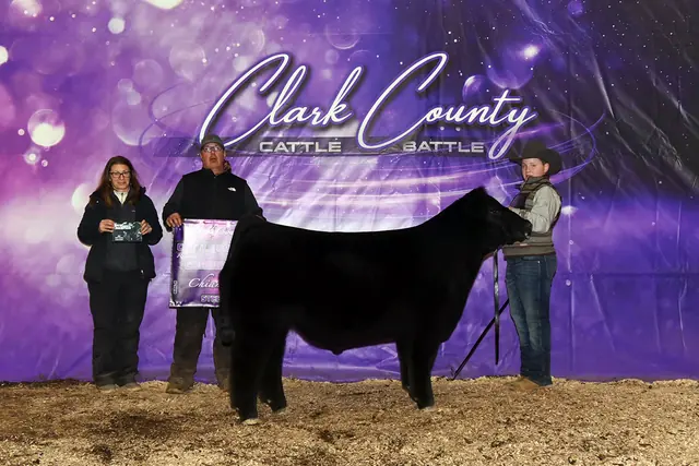 SM Show Steers winner, 2022